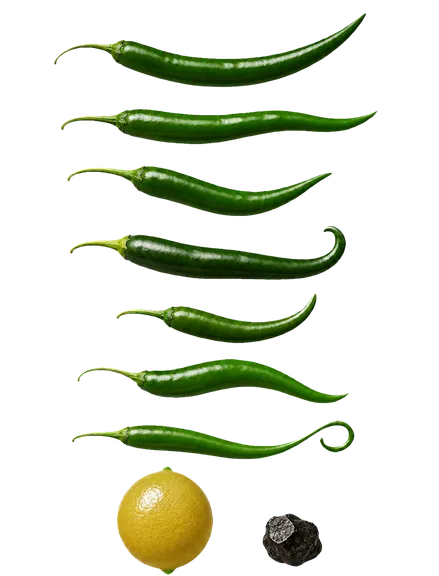 The nimbu-mirchi garland unstrung, seven green chilies, a lemon and a lump of coal, each painted as its own element